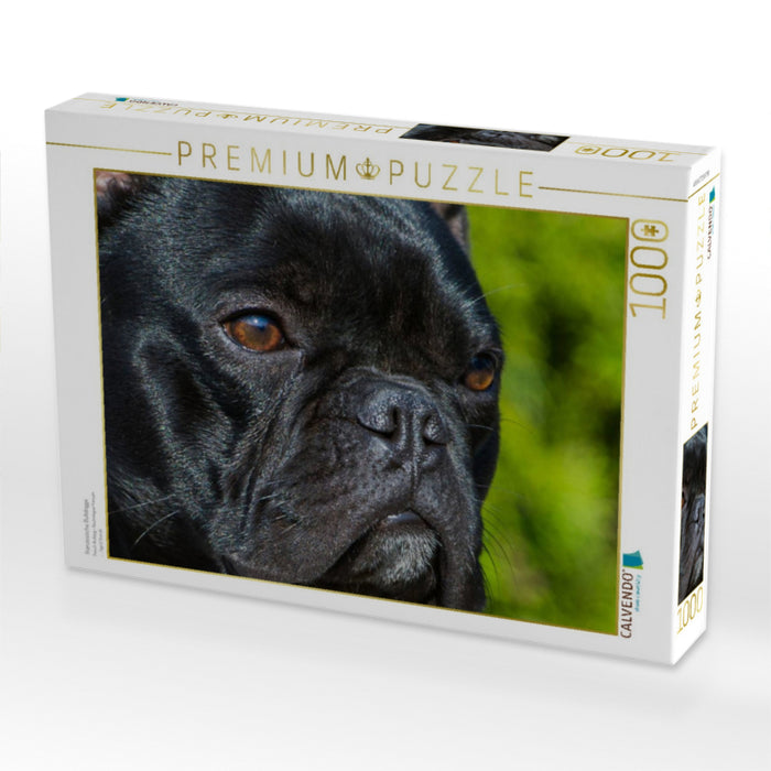 Französische Bulldogge - CALVENDO Foto-Puzzle'