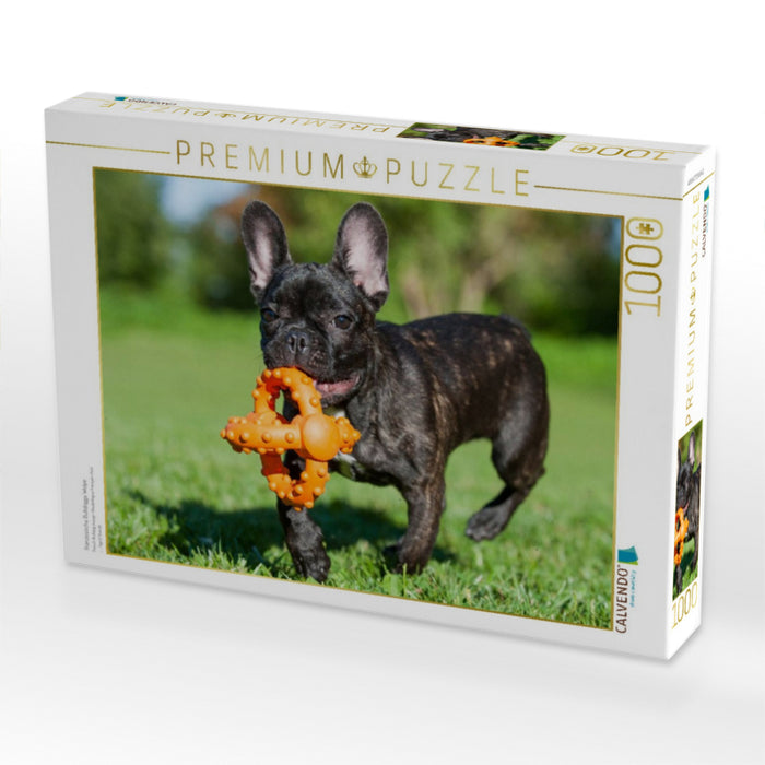 Französische Bulldogge Welpe - CALVENDO Foto-Puzzle'