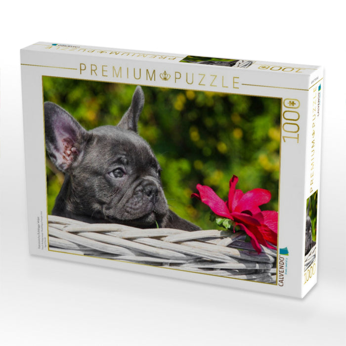 Französische Bulldogge Welpe - CALVENDO Foto-Puzzle'