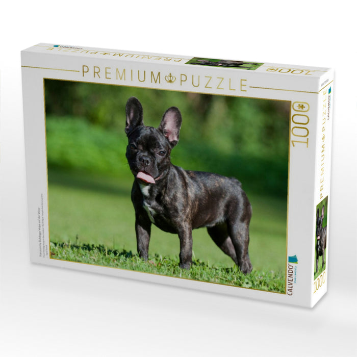 Französische Bulldogge Welpe auf der Wiese - CALVENDO Foto-Puzzle'