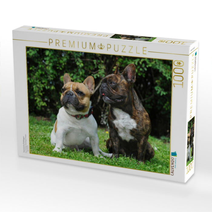 Französische Bulldoggen - CALVENDO Foto-Puzzle'