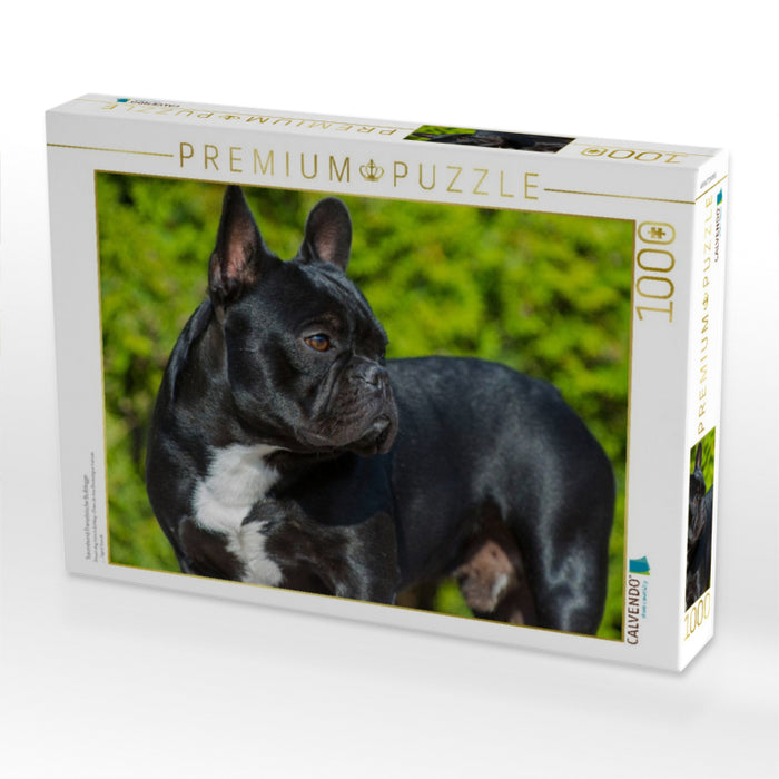 Traumhund Französische Bulldogge - CALVENDO Foto-Puzzle'