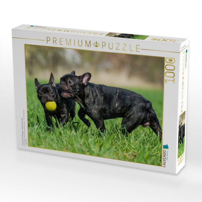 Französische Bulldogge - Welpen beim Spiel - CALVENDO Foto-Puzzle'