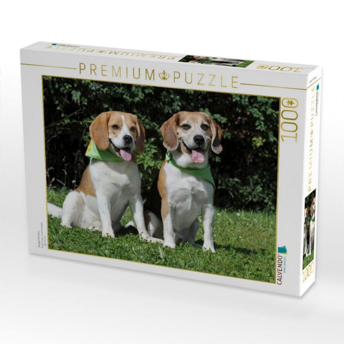 Beagle Pärchen - CALVENDO Foto-Puzzle'