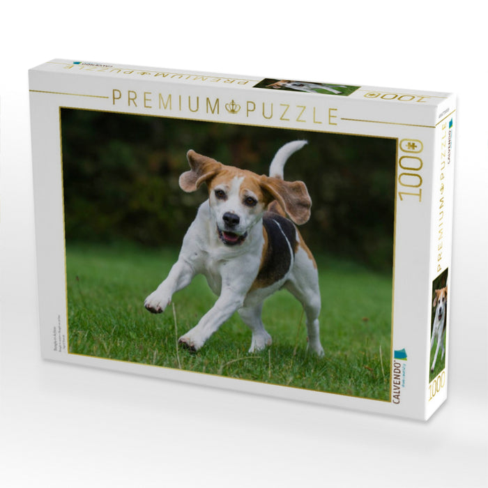Beagle in Action - CALVENDO Foto-Puzzle'