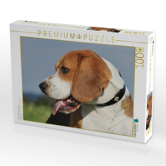Beagle - Porträt eines Rüden - CALVENDO Foto-Puzzle'