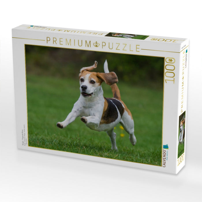Beagle - Fliegende Ohren - CALVENDO Foto-Puzzle'