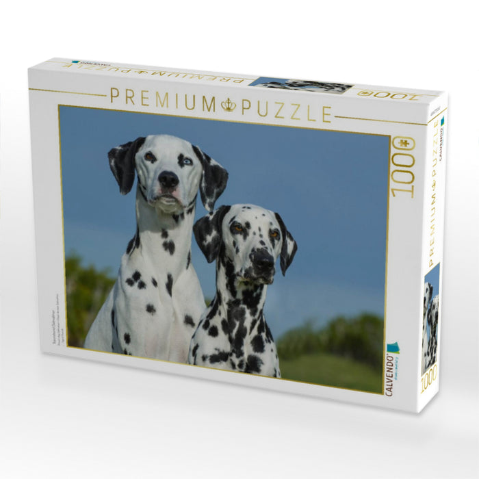 Traumhund Dalmatiner - CALVENDO Foto-Puzzle'