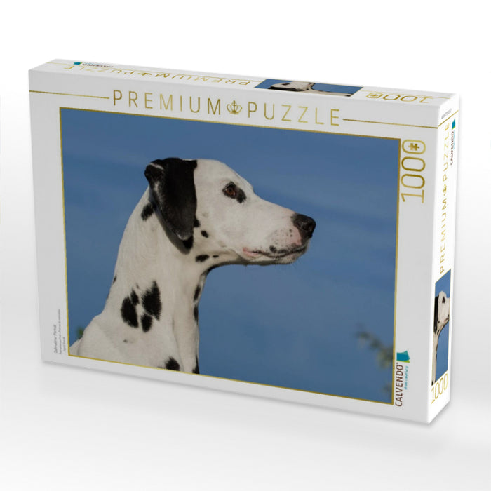 Dalmatiner Porträt - CALVENDO Foto-Puzzle'