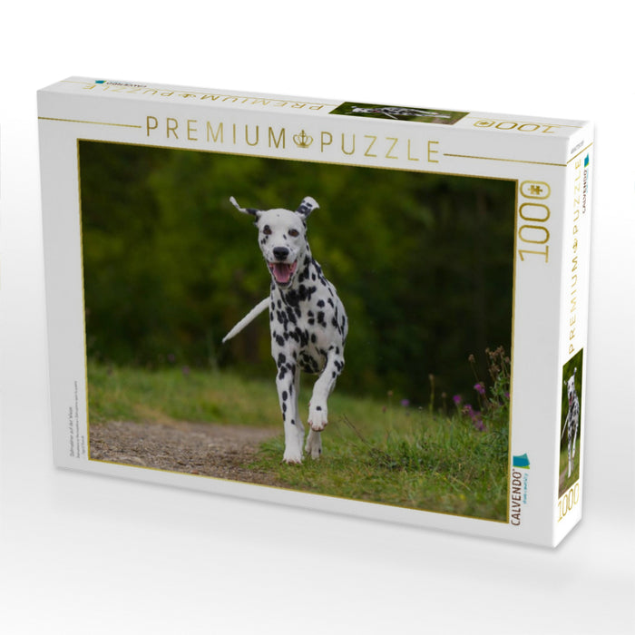 Dalmatiner auf der Wiese - CALVENDO Foto-Puzzle'