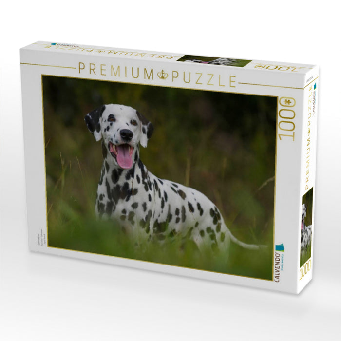 Dalmatiner - CALVENDO Foto-Puzzle'