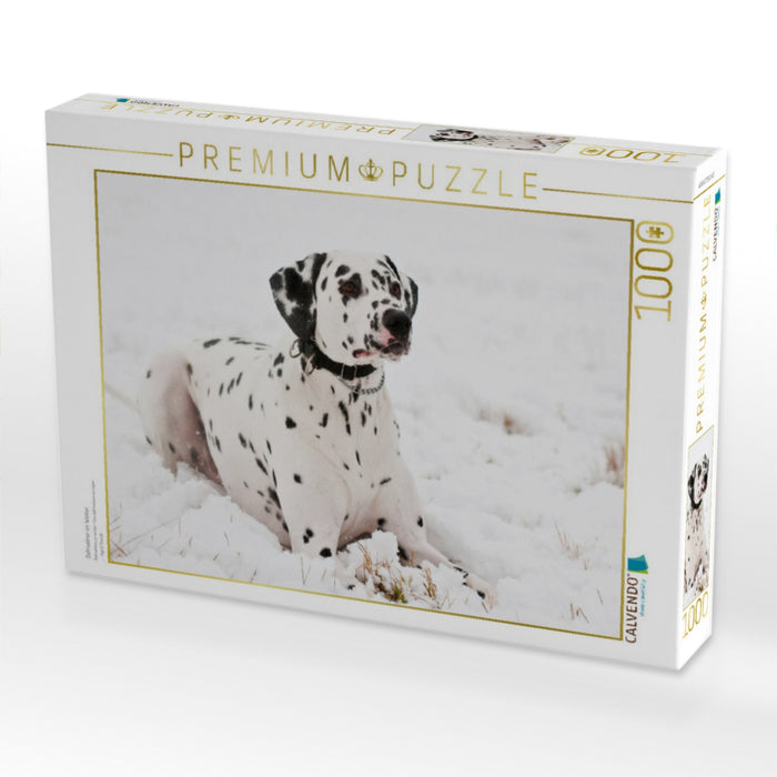 Dalmatiner im Winter - CALVENDO Foto-Puzzle'