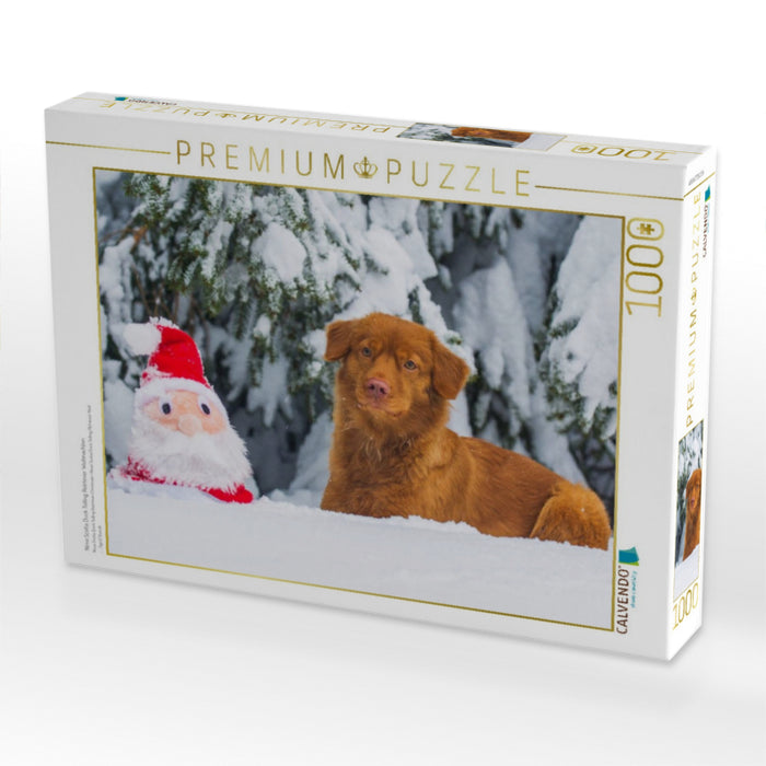 Nova Scotia Duck Tolling Retriever Weihnachten - CALVENDO Foto-Puzzle'