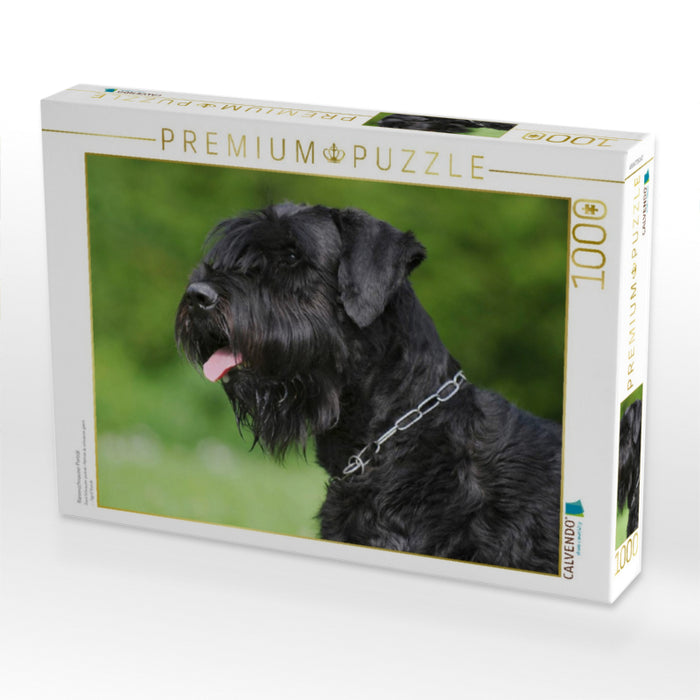 Riesenschnauzer Porträt - CALVENDO Foto-Puzzle'