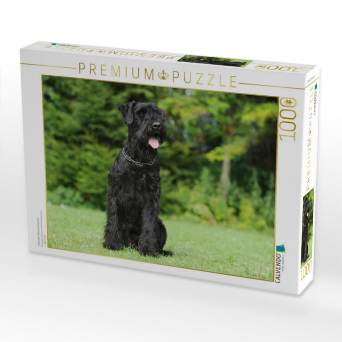 Sitzender Riesenschnauzer - CALVENDO Foto-Puzzle'