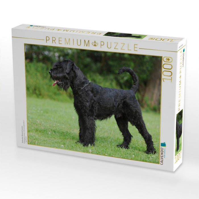 Stehender Riesenschnauzer - CALVENDO Foto-Puzzle'