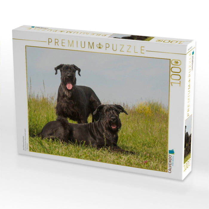 Zwei Riesenschnauzer - CALVENDO Foto-Puzzle'