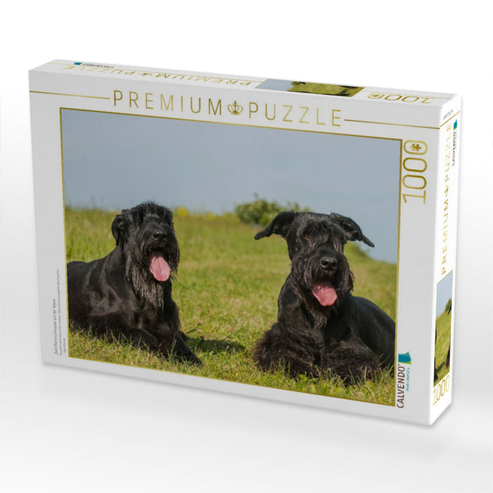 Zwei Riesenschnauzer auf der Wiese - CALVENDO Foto-Puzzle'