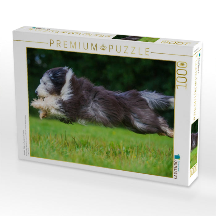 Bearded Collie im Flug über die Wiese - CALVENDO Foto-Puzzle'