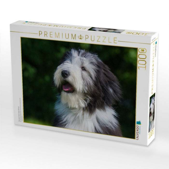 Bearded Collie Welpe Porträt - CALVENDO Foto-Puzzle'