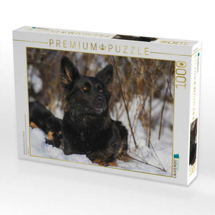Gelbbacke, Altdeutscher Hütehund - CALVENDO Foto-Puzzle'