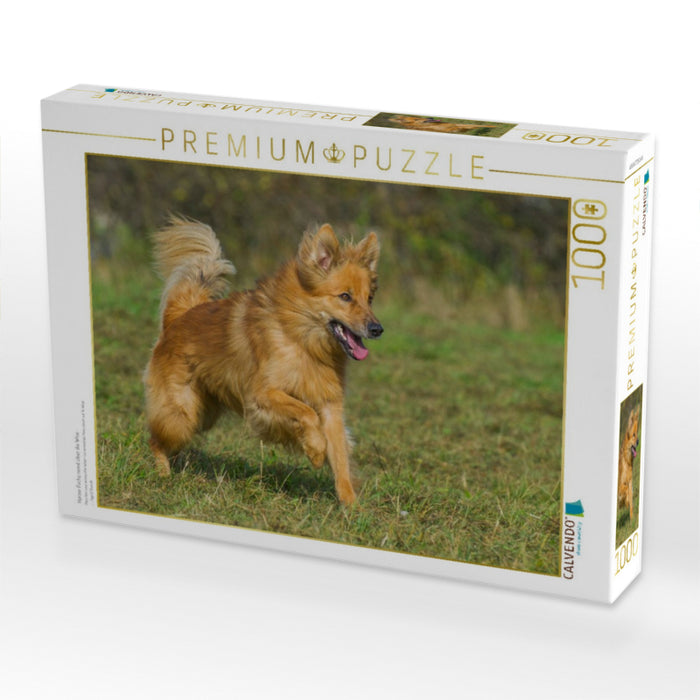 Harzer Fuchs rennt über die Wise - CALVENDO Foto-Puzzle'