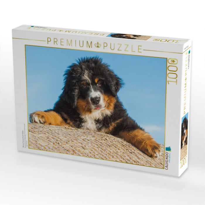 Berner Sennenhund Welpe - CALVENDO Foto-Puzzle'