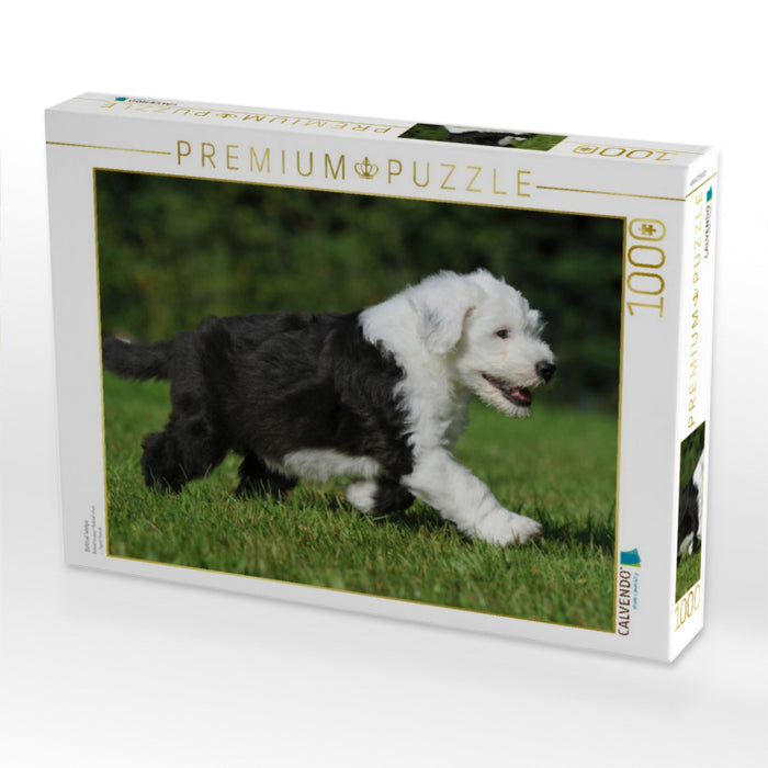 Bobtail Welpe - CALVENDO Foto-Puzzle'