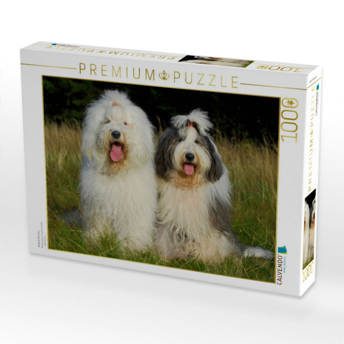 Bobtail Pärchen - CALVENDO Foto-Puzzle'