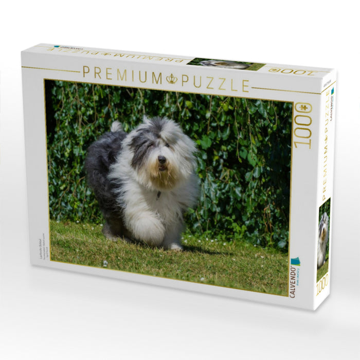 Laufender Bobtail - CALVENDO Foto-Puzzle'