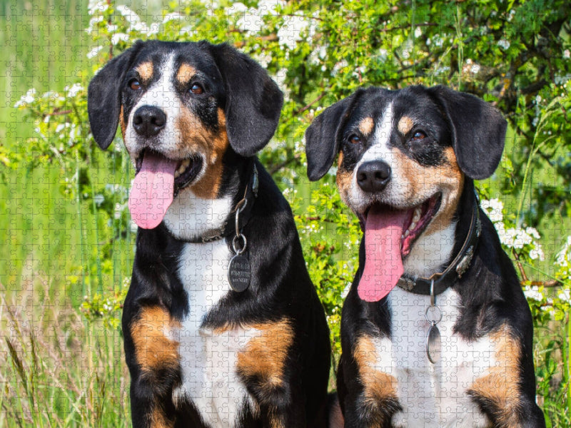 Zwei gute Freunde - CALVENDO Foto-Puzzle'