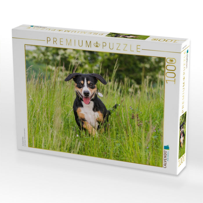 Im hohen Gras - CALVENDO Foto-Puzzle'