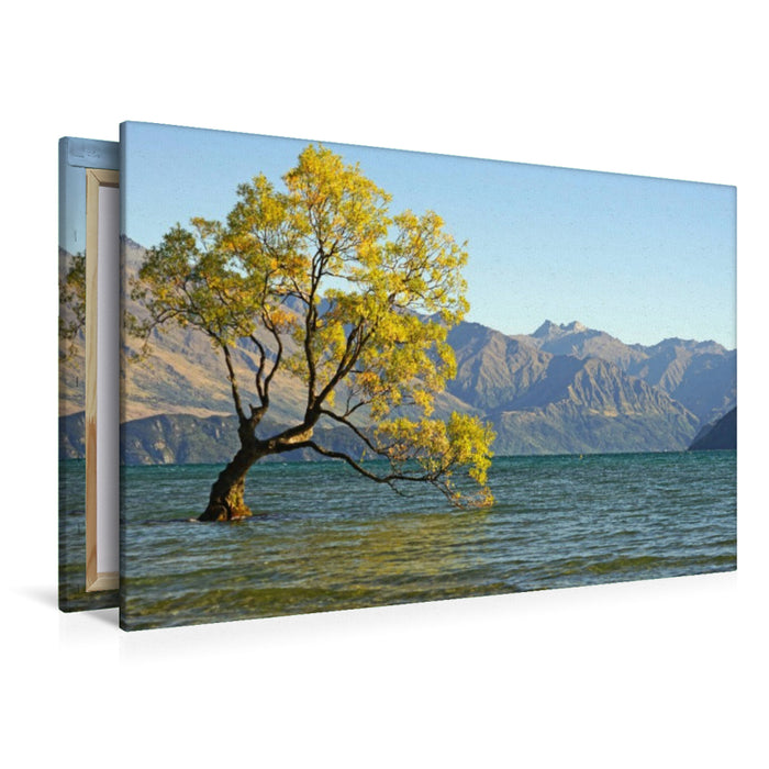 Premium Textil-Leinwand Berühmtester Baum Neuseelands, eine Bruchweide am See Wanaka