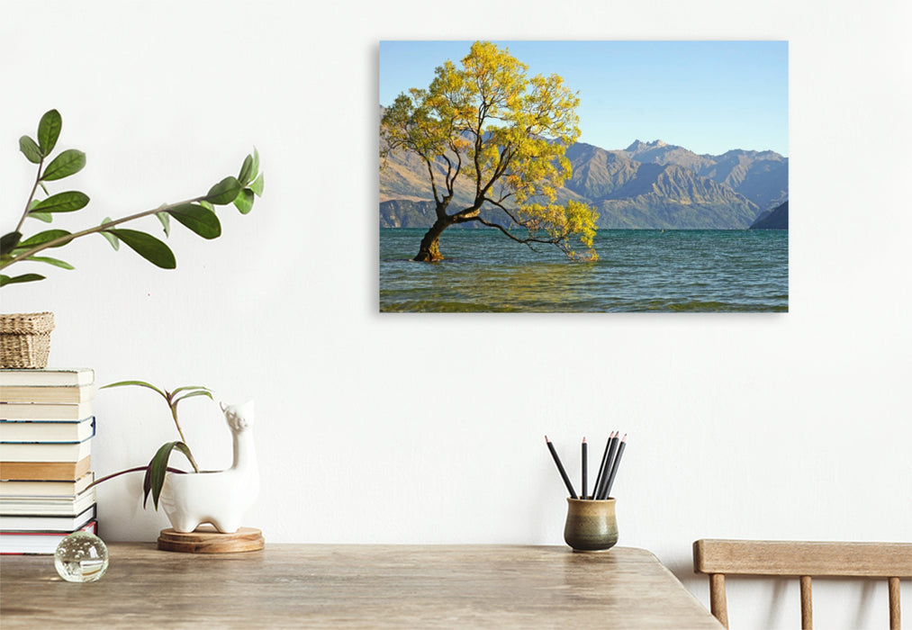 Premium Textil-Leinwand Berühmtester Baum Neuseelands, eine Bruchweide am See Wanaka