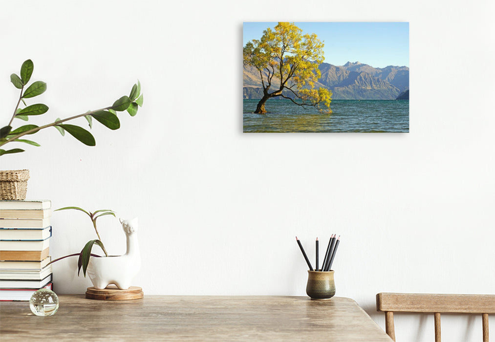 Premium Textil-Leinwand Berühmtester Baum Neuseelands, eine Bruchweide am See Wanaka