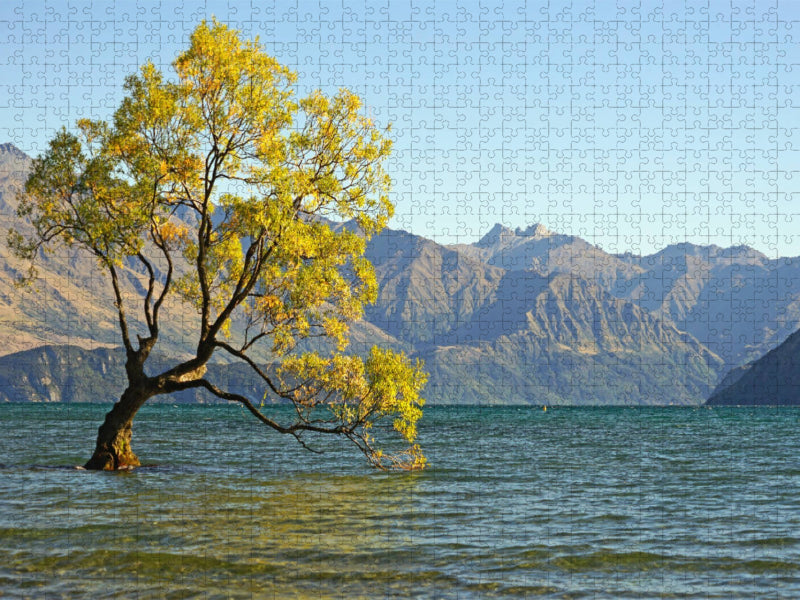 L'arbre le plus célèbre de Nouvelle-Zélande, un saule brisé sur le lac Wanaka - Puzzle photo CALVENDO 