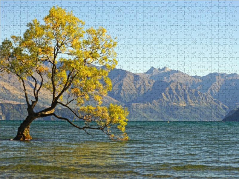 New Zealand's most famous tree, a broken willow on Lake Wanaka - CALVENDO photo puzzle 