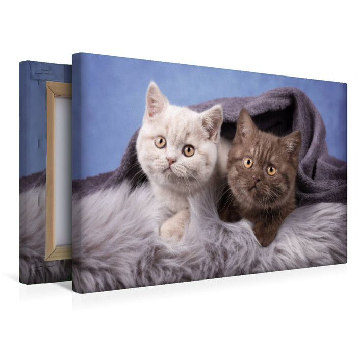 Premium Textil-Leinwand Kleine Deckenkrabler
