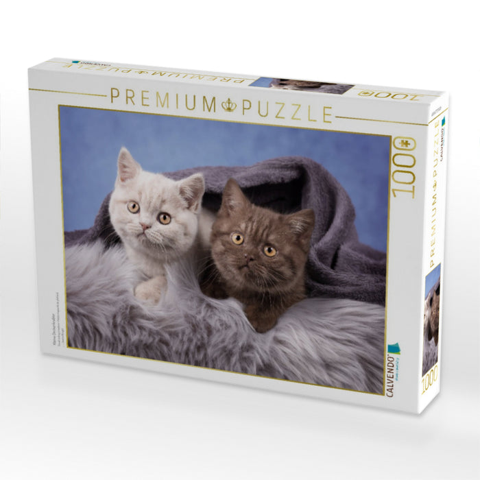 Kleine Deckenkrabler - CALVENDO Foto-Puzzle'