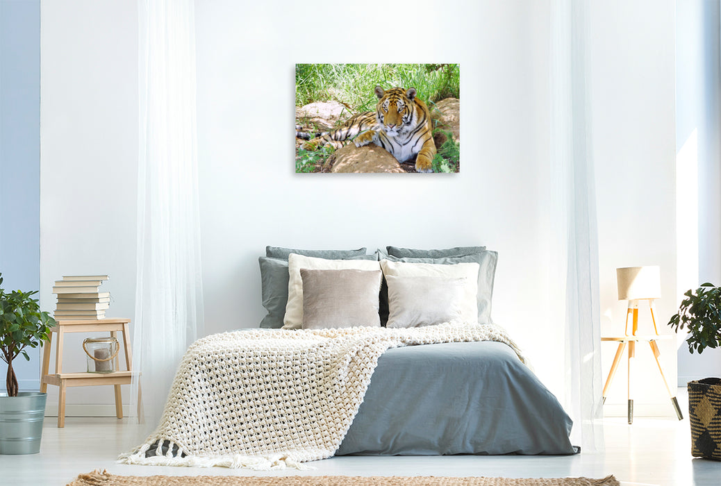 Premium Textil-Leinwand Ein Motiv aus dem Kalender TIGER IMPRESSIONEN Gestreifte Seltenheit auf unserer Erde