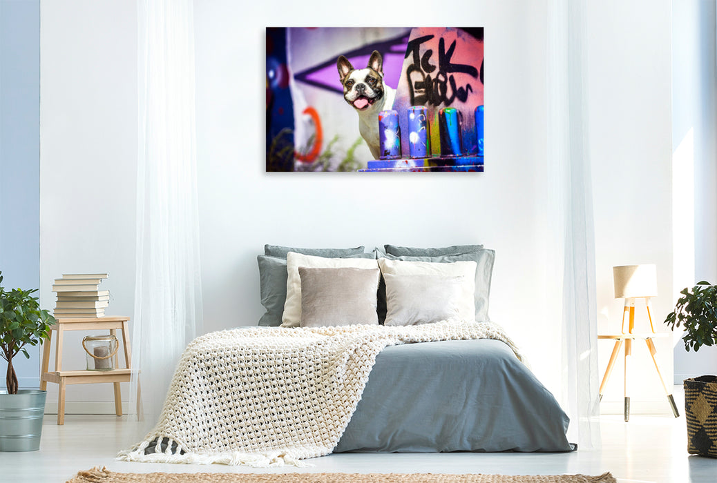 Premium Textil-Leinwand Premium Textil-Leinwand 120 cm x 80 cm quer French Bulldog sitzt vor einer Graffitiwand