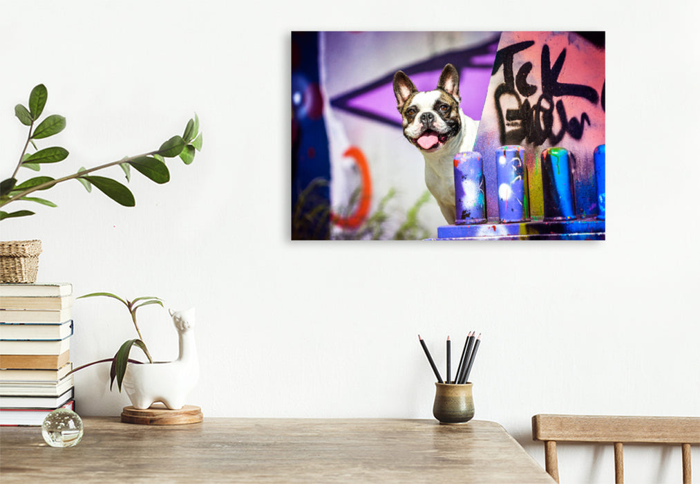 Premium Textil-Leinwand Premium Textil-Leinwand 120 cm x 80 cm quer French Bulldog sitzt vor einer Graffitiwand