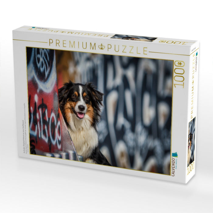 Australien Shepherd Potrait vor einer Graffitiwand - CALVENDO Foto-Puzzle'