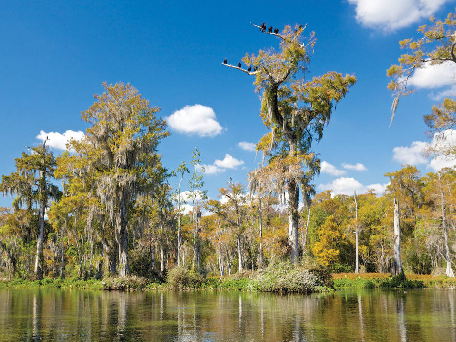 Walkulla Springs - CALVENDO Foto-Puzzle'