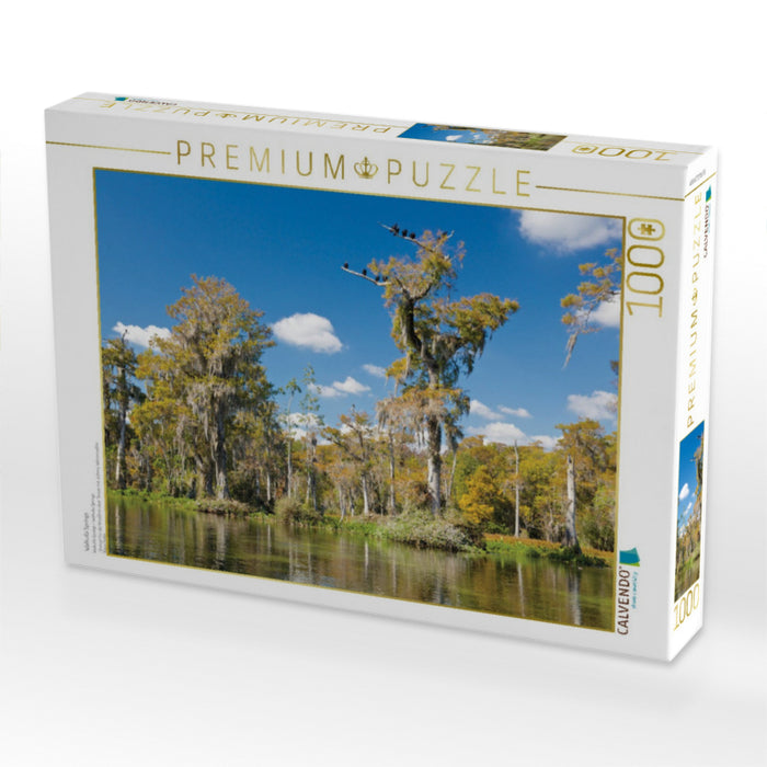 Walkulla Springs - CALVENDO Foto-Puzzle'