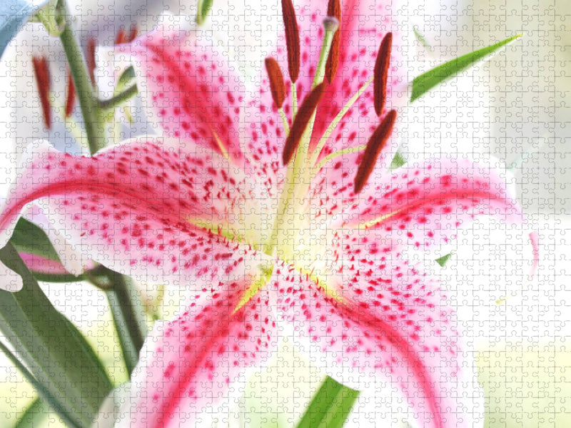 Lilie - CALVENDO Foto-Puzzle'