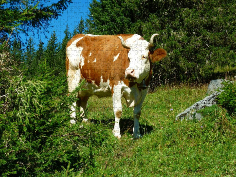 Kuh auf der Alm - CALVENDO Foto-Puzzle'