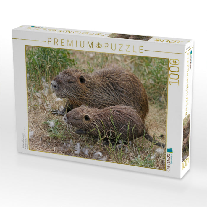 NUTRIA mit Nachwuchs - CALVENDO Foto-Puzzle'