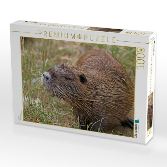 NUTRIA - CALVENDO Foto-Puzzle'