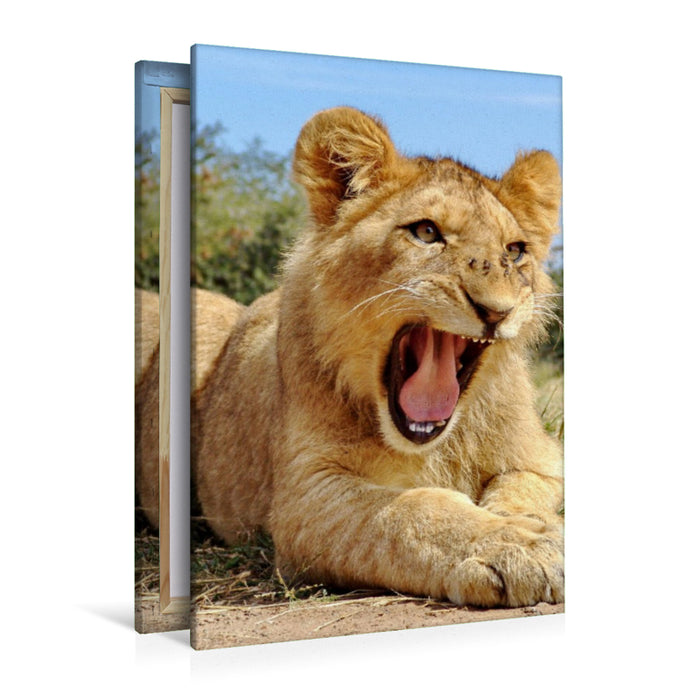 Premium Textil-Leinwand Ein Motiv aus dem Kalender FASZINATION AFRIKA TIER PORTRAITS